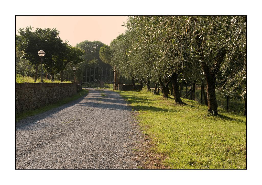 B&B Casale Virgili Siena Exteriér fotografie